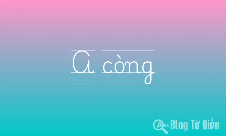 A còng