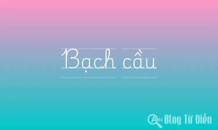 Bạch cầu