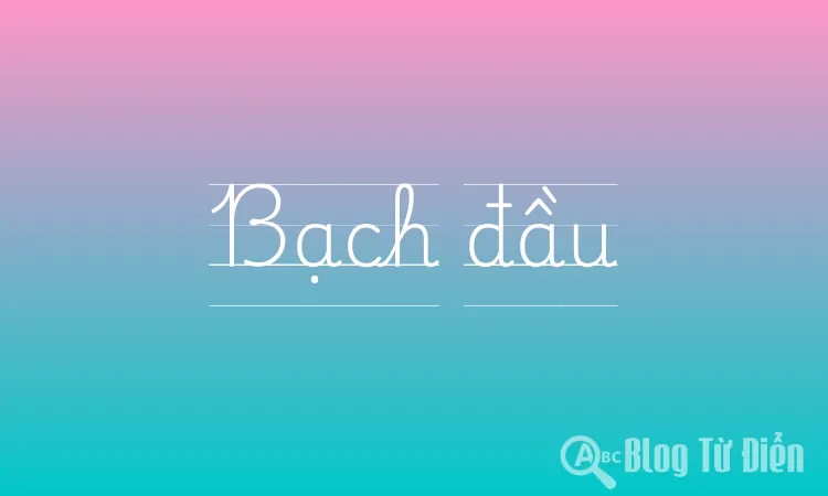 Bạch đầu