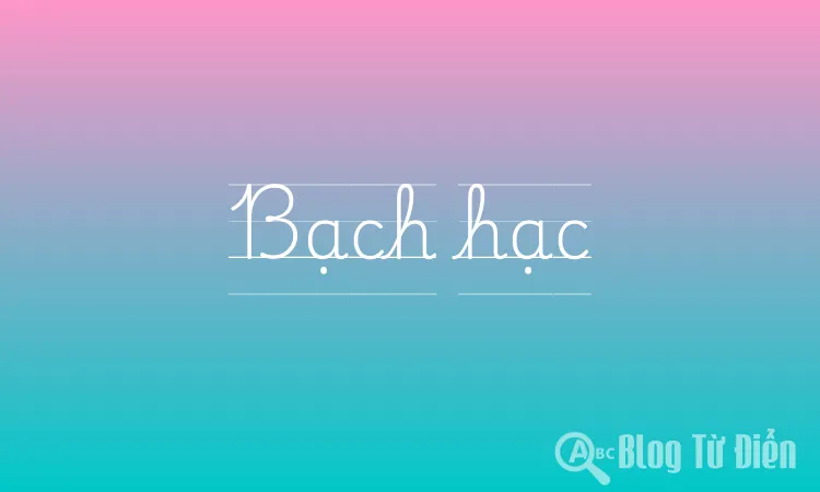 Bạch hạc