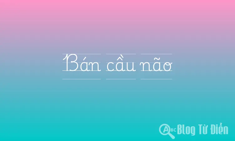 Bán cầu não