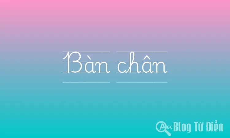 Bàn chân
