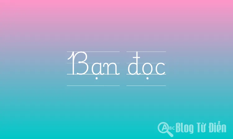 Bạn đọc