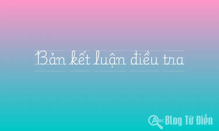 Bản kết luận điều tra