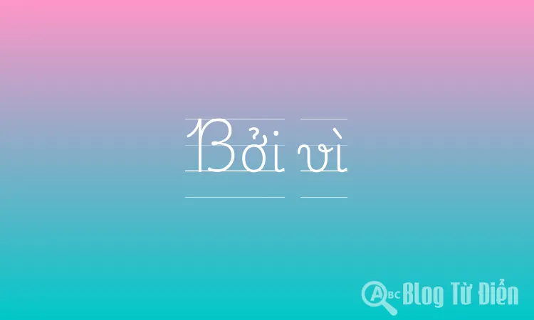 Bởi vì