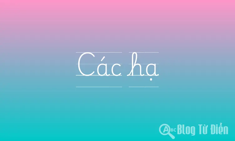 Các hạ