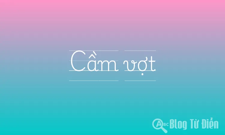 Cầm vợt