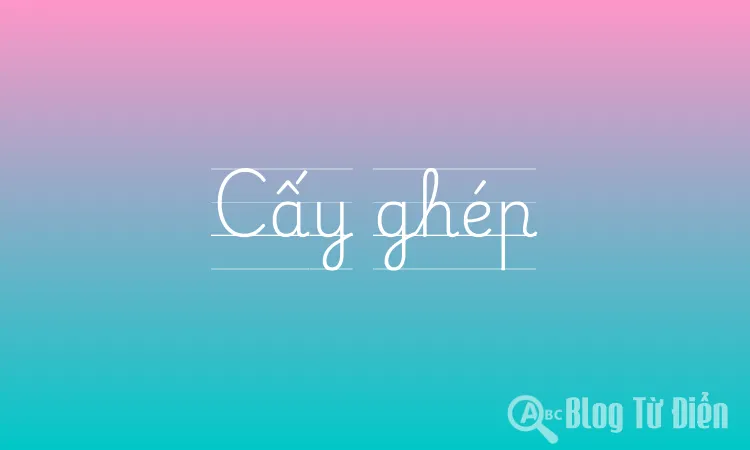 Cấy ghép
