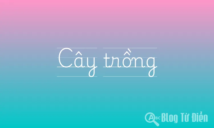 Cây trồng