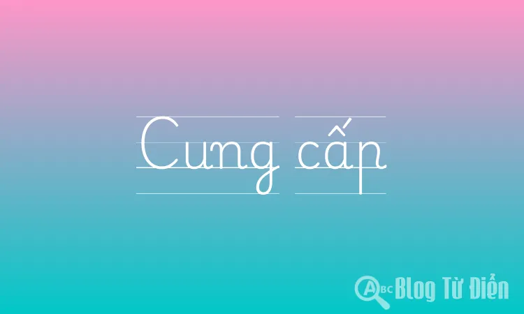 Cung cấp