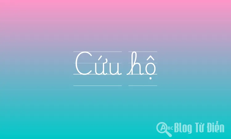Cứu hộ