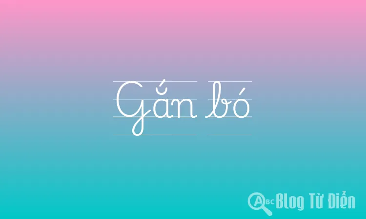 Gắn bó