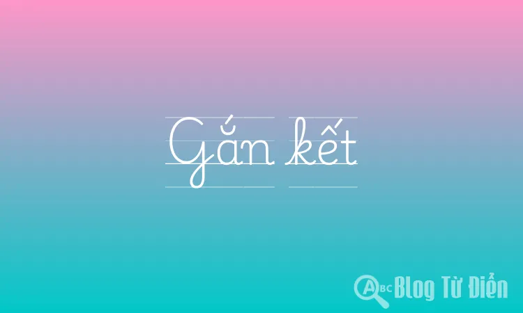 Gắn kết