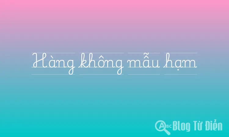 Hàng không mẫu hạm