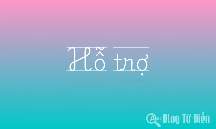 Hỗ trợ