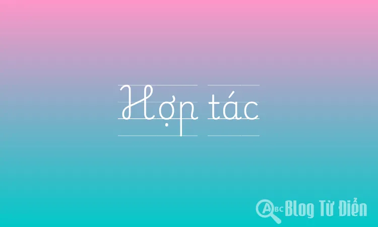Hợp tác