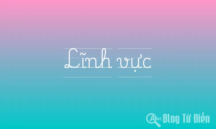Lĩnh vực