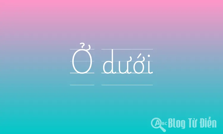 Ở dưới