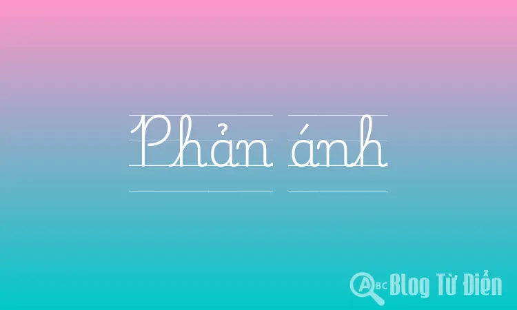 Phản ánh