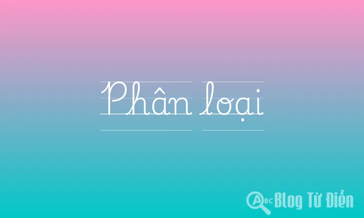 Phân loại