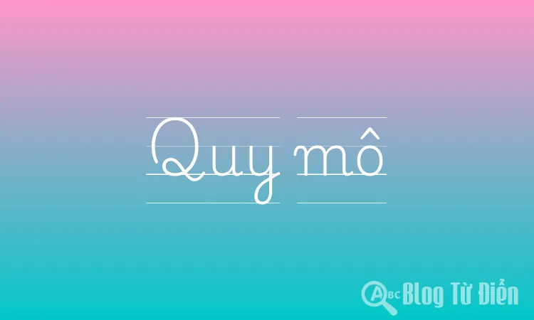 Quy mô