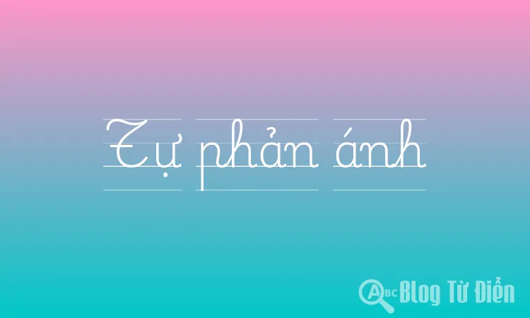 Tự phản ánh