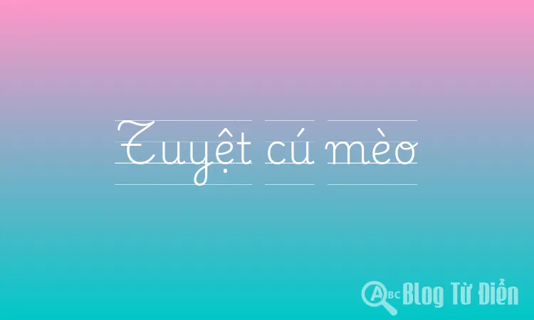 Tuyệt cú mèo