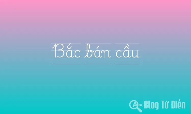 Bắc bán cầu