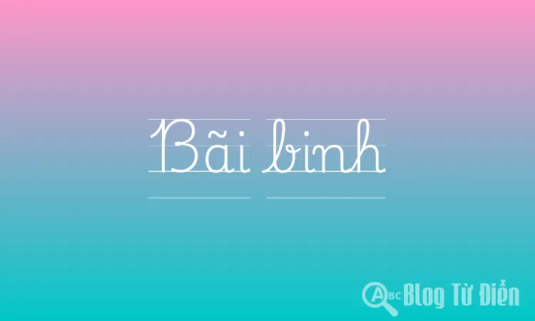 Bãi binh