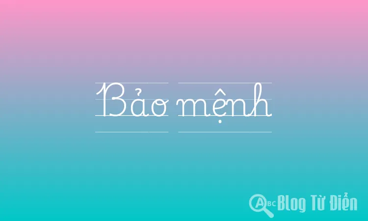 Bảo mệnh