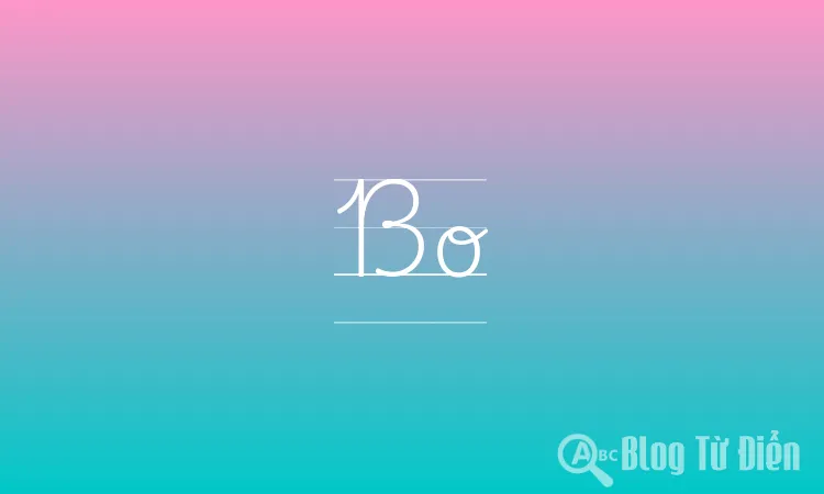 Bo