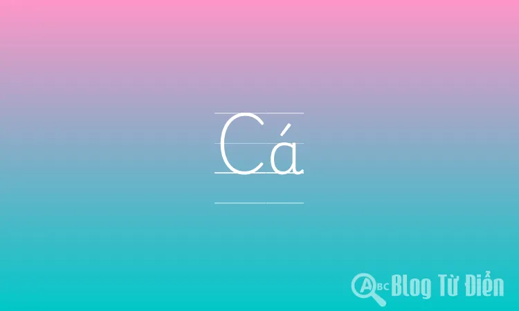 Cá