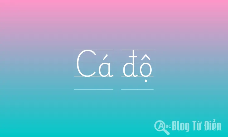 Cá độ