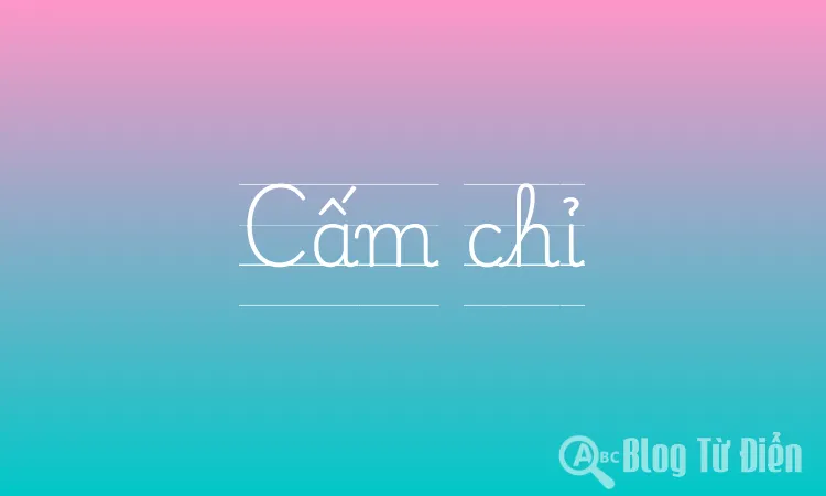 Cấm chỉ