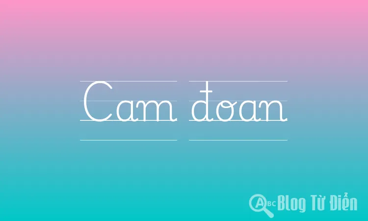 Cam đoan