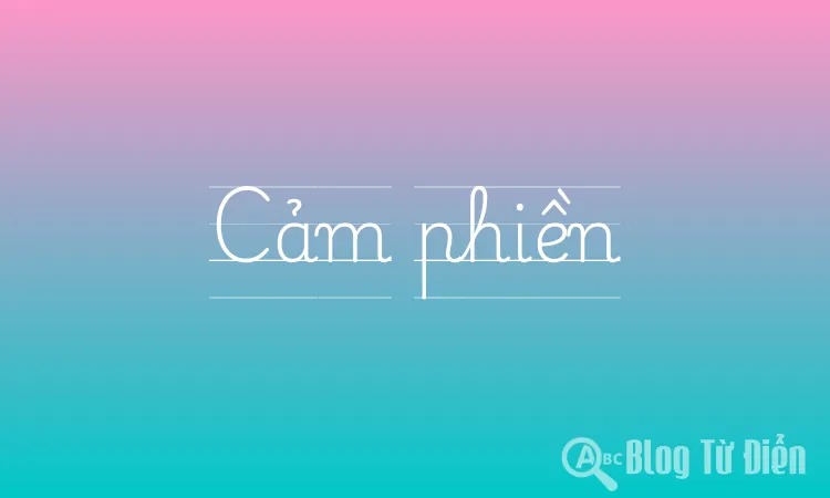 Cảm phiền