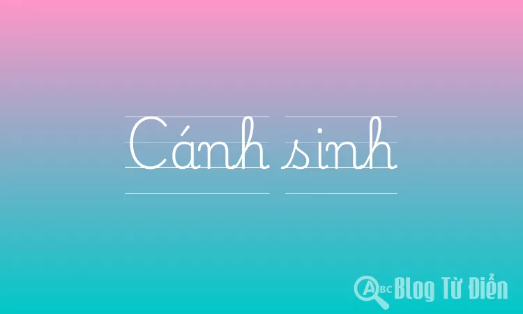 Cánh sinh