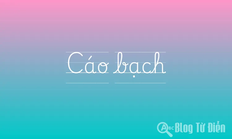 Cáo bạch