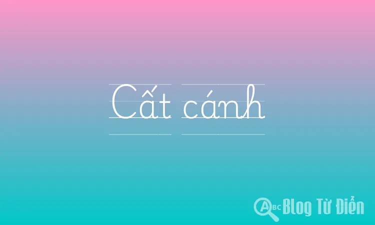 Cất cánh
