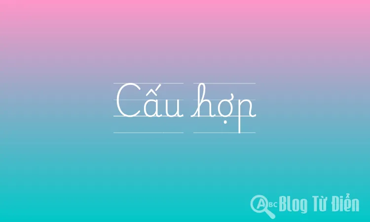 Cấu hợp