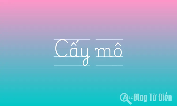 Cấy mô