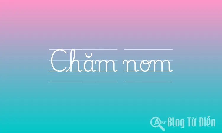 Chăm nom