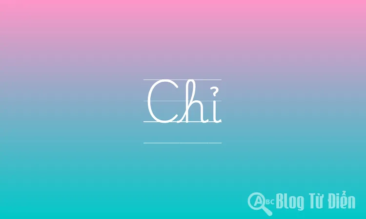 Chỉ