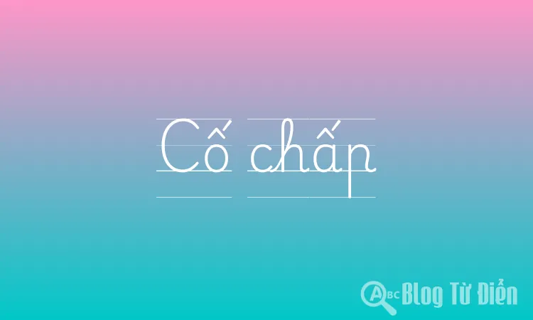 Cố chấp