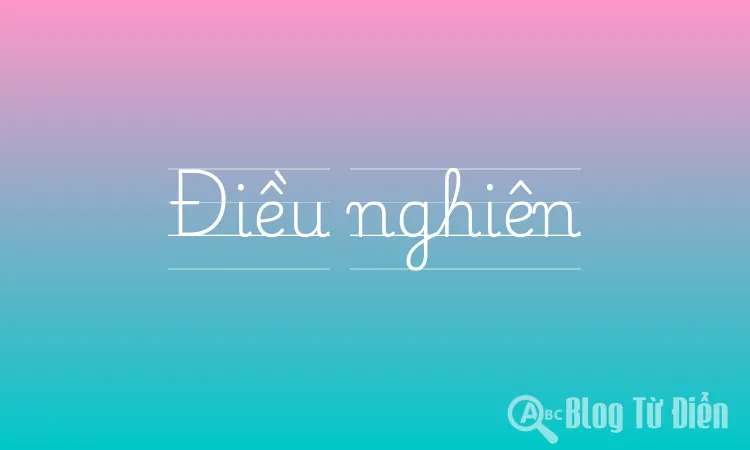 Điều nghiên