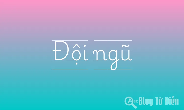 Đội ngũ