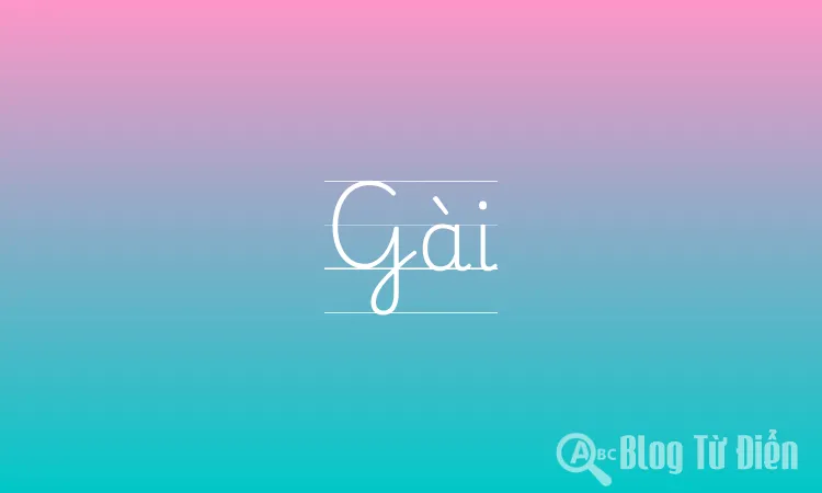 Gài