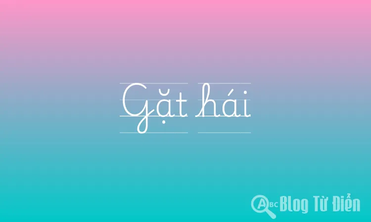 Gặt hái