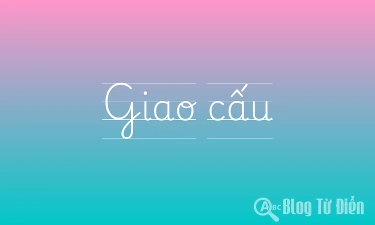 Giao cấu