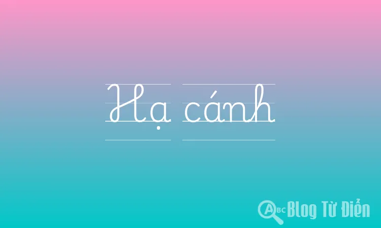 Hạ cánh
